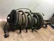 Federbein Links Vorne 5430300Q1C Nissan Interstar Van 2.3 dCi 135 16V (M9T-716(M9T-F7))