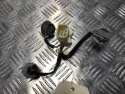 Kennzeichenbeleuchtung RECHTS Toyota Yaris II (P9) Schrägheck 1.4 D-4D (1NDTV)