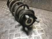 Federbein Rechts Vorne Ford Transit Custom Van 2.0 TDCi 16V Eco Blue 170 (YNF6)