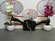 Kombischalter - Audi A6 (C5) Limousine 2.0 20V (ALT)