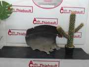 Innenkotflügel Rechts Vorne 8200163758 Renault Megane Scénic (JA)