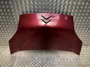 Motorhaube 00007901Q1 Citroën Nemo Kombi (AJ) Großraumlimousine 1.4 HDi 70 (DV4TED(8HS))