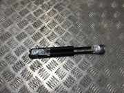 Gasdruckfeder Vorne 8N0823359 Audi TT (8N3) Coup? 1.8 20V Turbo (AUQ)