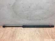 Gasdruckfeder Vorne 2038800429 Mercedes-Benz C (W203) Limousine 2.7 C-270 CDI 20V (OM612.962)
