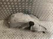 Innenkotflügel Rechts Hinten 8200289943 Renault Clio III (BR/CR) Schrägheck 1.2 16V TCe 100 (D4F-784)