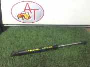 Gasdruckfeder Rechts Hinten Cadillac STS (K63) Limousine 3.6 V6 24V VVT Li (LY7)