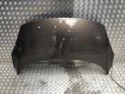 Motorhaube 651008842R Renault Grand Scénic III (JZ) Großraumlimousine 1.9 dCi 130 FAP (F9Q-872(F9Q-P8))
