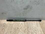 Gasdruckfeder Hinten 8200385560 Renault Twingo II (CN) Schrägheck 3-drs 1.2 16V (D4F-770)