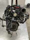 Motor 8201535495 Renault Kangoo Express (FW) Van 1.5 dCi 75 (K9K-608(K9K-B6))