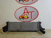 Ladeluftkühler 8200140970 Renault Kangoo (KC)