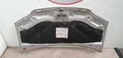 Motorhaube 0000046828725 Fiat Idea (350AX) Großraumlimousine 1.3 JTD 16V Multijet (188.A.9000)
