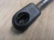 Gasdruckfeder Hinten 00008731H8 Citroën C2 (JM)