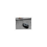 Kennzeichenbeleuchtung LINKS Renault Clio IV (5R) Schrägheck 5-drs 1.5 dCi 75 FAP (K9K-612) 2014