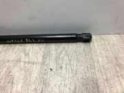 Gasdruckfeder Vorne Audi A4 (B8) Limousine 2.0 TDI 16V (CSUB)