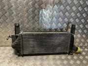 Ladeluftkühler 14461EB360 Nissan Navara (D40) Pick-up 2.5 dCi 16V 4x4 (YD25DDTi)