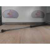 Gasdruckfeder Hinten 8731E6 Peugeot 206 (2A/C/H/J/S) Schrägheck 2.0 XS,XT HDi (DW10TD(RHY)) 2400