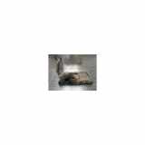 Tank Peugeot 508 SW (8E/8U) Kombi 2.0 BlueHDi 180 16V (DW10FD(AHW)) 2017