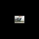 Fensterheber Elektr. Links Hinten 6980442020 Toyota RAV4 (A2) Geländewagen 2.0 D-4D 16V 4x4 (1CD-FTV) 2002