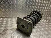 Federbein Rechts Vorne 9821596680 Peugeot Expert (V1/VA/VB/VE/VF/VT/VY) Van 2.0 Blue HDi 180 16V (DW10FC(AHH))