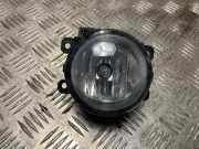 Nebelscheinwerfer Links Vorne Peugeot Expert (V1/VA/VB/VE/VF/VT/VY) Van 2.0 Blue HDi 180 16V (DW10FC(AHH))