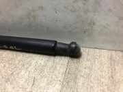 Gasdruckfeder Hinten 51778432 Fiat Punto Evo (199) Schrägheck 1.3 JTD Multijet Start&Stop 16V (199.A.2000)