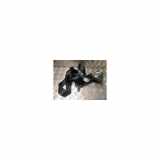 Sicherheitsgurt Links Hinten 7700831085 Renault Twingo (C06) Schrägheck 3-drs 1.2 SPi Phase I (C3G-700) 1994