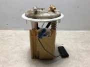 Kraftstoffpumpe DOMPELPOMP 1525QZ Peugeot EXPERT 2