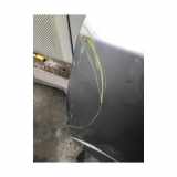 Tür Links Vorne 801010029R Renault Koleos I SUV 2.0 dCi 16V 4x4 (M9R-855) 2011