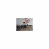 Federbein Links Vorne Ford Transit Van 2.2 TDCi 16V (SRFC) 2008
