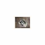 Motorhaubenschloss 9673285680 Peugeot 208 (CA/CK/CL) Schrägheck 1.6 HDi 115 16V (DV6/EURO5(9HD)) 2013