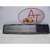 Stoßstangengitter 735455043 Fiat 500 (312) Schrägheck 1.2 69 (169.A.4000) 2009