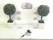 Türschloß Links Vorne C - 7700834326 Renault Scénic I (JA) -> 1999, Zie MEGANE Großraumlimousine 1.9 dCi RX4 (F9Q-740)