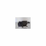 Tank Ford Fiesta VII Schrägheck 1.4 16V (RTJB) 2009