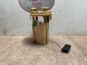 Kraftstoffpumpe DOMPELPOMP 1525LA Peugeot 3008 I (0U/HU) Großraumlimousine 2.0 HDiF 16V GT (DW10CTED4(RHH))