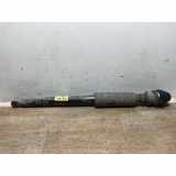 Stoßdämpfer Rechts Hinten 95259954 Daewoo / Chevrolet Spark (M300) Schrägheck 1.0 16V (B10D1) 2013