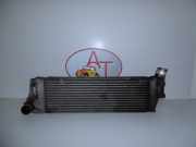 Ladeluftkühler 8200700172 Renault Megane II (BM/CM) Schrägheck 1.5 dCi 105 (K9K-732)