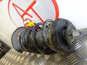 Federbein Rechts Vorne 00005208C6 Citroën C3 Picasso (SH) Großraumlimousine 1.4 16V VTI 95 (EP3C(8FP))