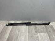 Gasdruckfeder Hinten 8200025317 Renault Laguna II Grandtour (KG) Kombi 5-drs 1.9 dCi 120 (F9Q-670)