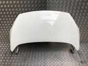 Motorhaube 1542417 Ford Ka II Schr?gheck 1.2 (169.A.4000)