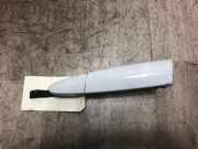 Türgriff Außen Links Vorne 51217207561 BMW 3 serie Touring (F31) Kombi 318d 2.0 16V (B47-D20A)