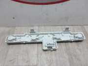 Kennzeichenbeleuchtung LINKS 93192916 Opel Zafira (M75) Großraumlimousine 1.7 CDTi 16V (A17DTJ(Euro 5))