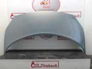 Motorhaube 651001097R Renault Grand Scénic II (JM) Großraumlimousine 1.9 dCi 120 (F9Q-812)