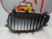 Grill Zierliste Rechts Vorne 51137027062 BMW 5 serie (E60) Limousine 530d 24V (M57N-D30(306D2))