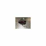 Rücklicht Links Aussen DFR751160D Mazda CX-30 (DM) SUV 2.0 e-SkyActiv-G 122 16V (PEXN) 2020