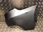 Kotflügel Rechts Hinten 41217174354 BMW X5 (E70) SUV xDrive 30d 3.0 24V (M57N2-D30(306D3))