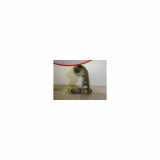 Querlenker Links Vorne Unten Mercedes-Benz SLK (R170) Cabrio 2.3 230 K 16V (M111.983) 1998