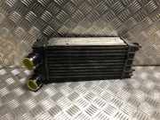 Ladeluftkühler 00000384N9 Citroën C4 Picasso (UD/UE/UF) Großraumlimousine 1.6 HDiF 16V 110 (DV6C(9HR))