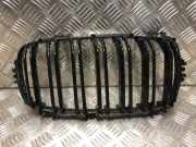 Grill Zierliste Rechts Vorne 51137316062 BMW X5 (F15) SUV xDrive 40d 3.0 24V (N57-D30B)