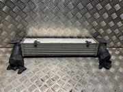 Ladeluftkühler BMW 1 serie (E87/87N) Schrägheck 5-drs 116d 16V (N47-D20C)