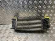 Ladeluftk?hler 00000384N4 Citro?n C5 III Tourer (RW) Kombi 2.0 HDiF 16V (DW10BTED4(RHF)) DW10BTED4(RHF)